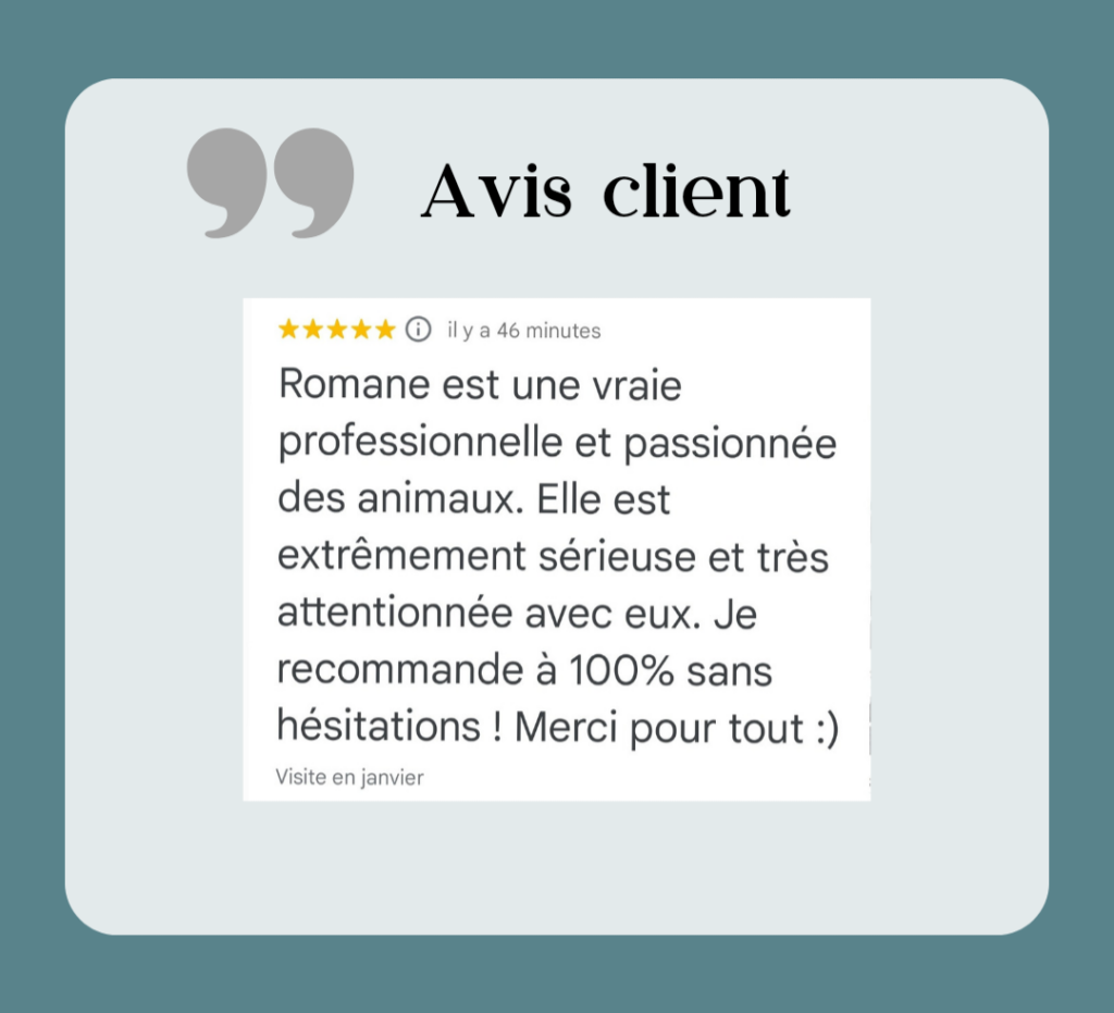 La satisfaction des propriétaires d'animaux au cœur de mes objectifs.