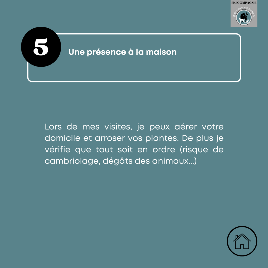 Les 5 raisons de faire garder ses animaux par un professionnel.