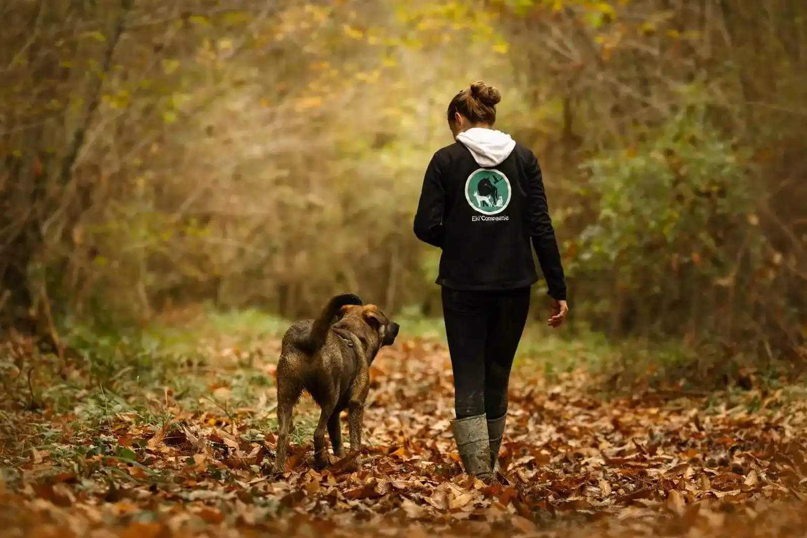 éducation positive chien