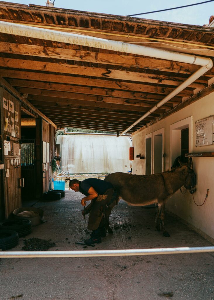 A farrier works with a donkey in a rustic stable in Kerkyra, Greece, showcasing rural life.