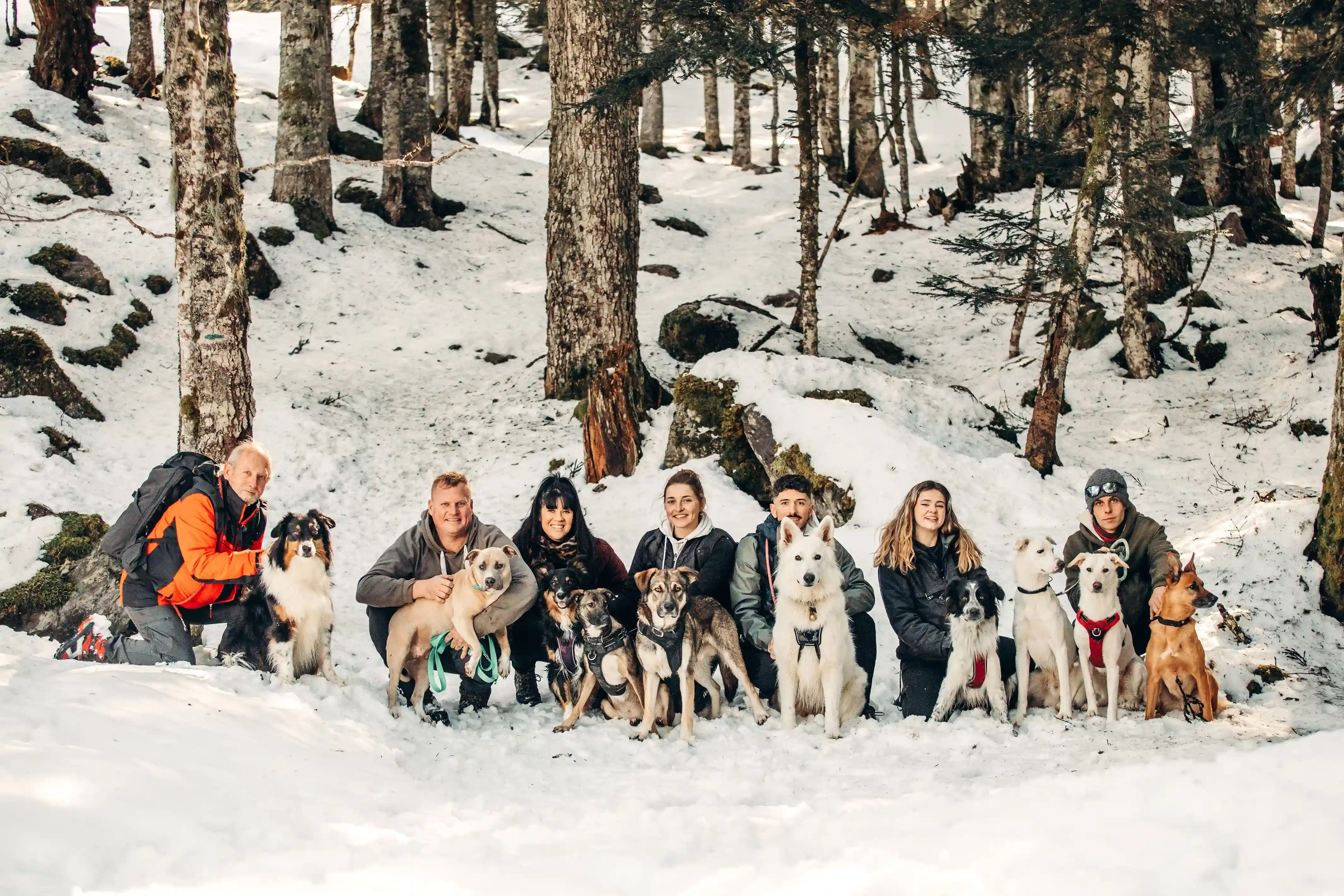 Shooting-balade-collective-canine